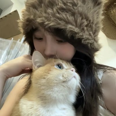 猫与苍蝇海报